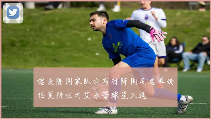 喀麦隆国家队公布对阵国足名单姆伯莫科法内艾永等球星入选