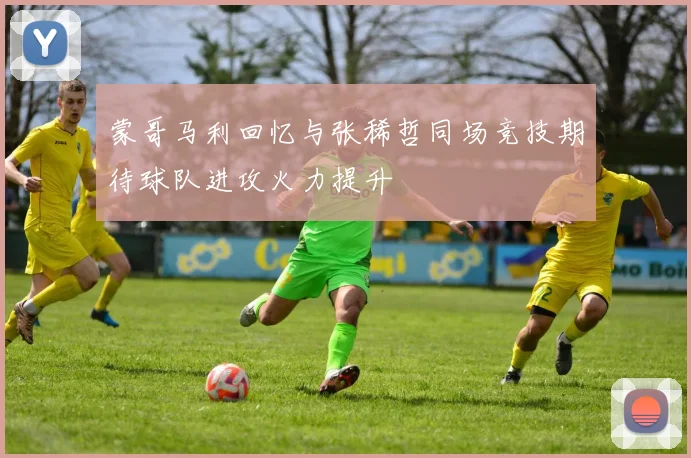 蒙哥马利回忆与张稀哲同场竞技期待球队进攻火力提升