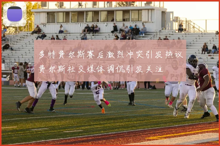 多特费尔斯赛后激烈冲突引发热议费尔斯社交媒体调侃引发关注