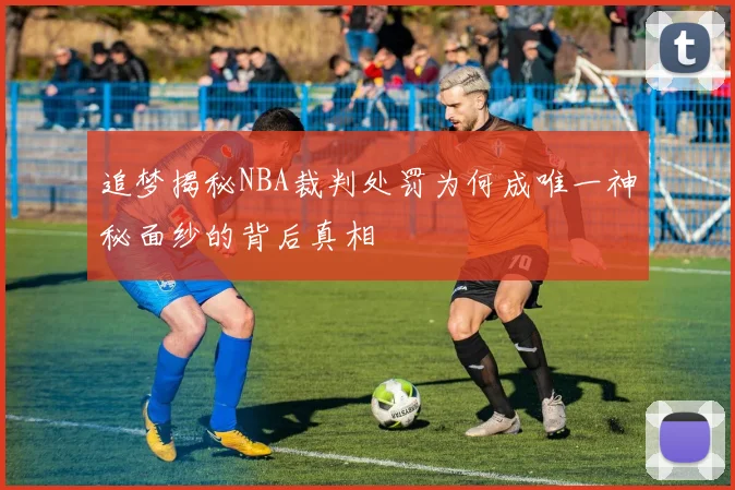 追梦揭秘NBA裁判处罚为何成唯一神秘面纱的背后真相