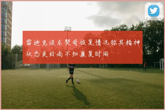 雷迪克谈东契奇恢复情况称其精神状态良好尚不知康复时间